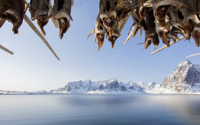 Reine