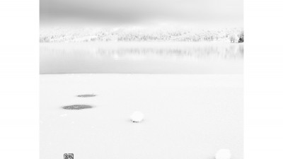 보히니 호수