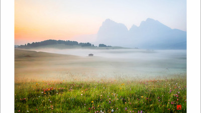 Dolomiti