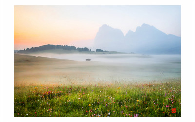 Dolomiti