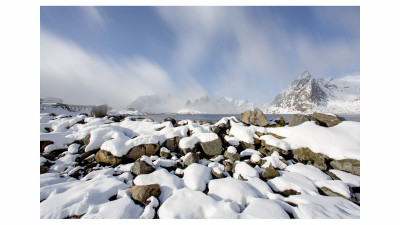 Reine