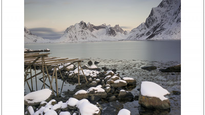Reine 아침