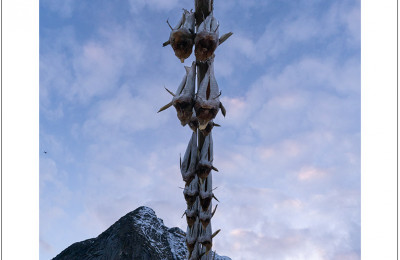 Image 7402