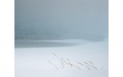 수채화