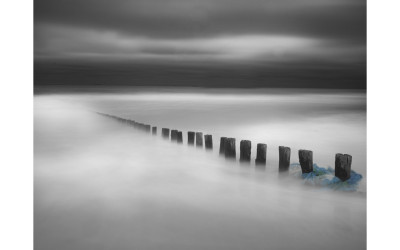 Into Sea