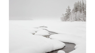 白雪