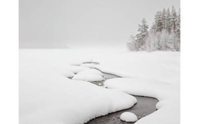 白雪