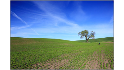 Palouse#4