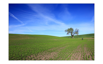 Palouse#4