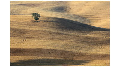 Toscana