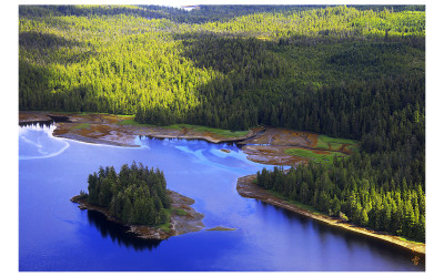 Alaska Cruises
