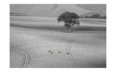 Toscany on the Road IV
