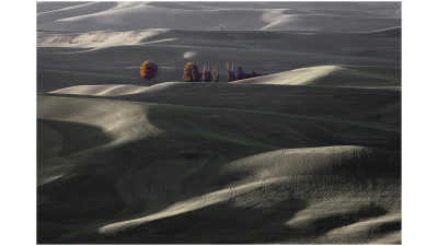 Palouse #4