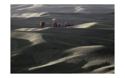 Palouse #4
