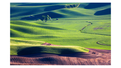 Palouse #5