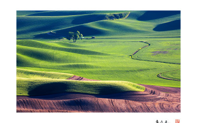 Palouse #5
