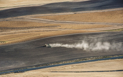 8월의 Palouse 6