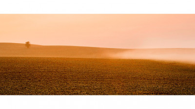 Misty Morning