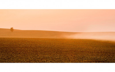 Misty Morning