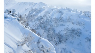 대설산