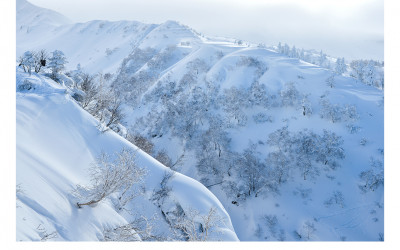 대설산