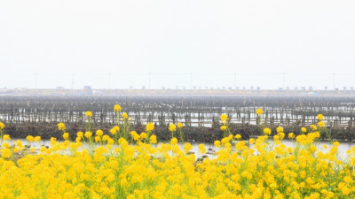 sea