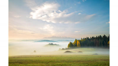 Misty morning