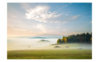 Misty morning