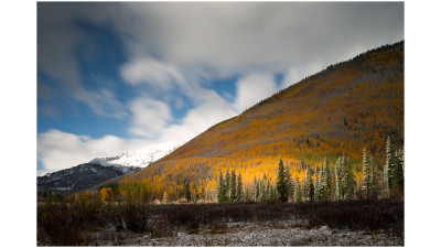 Fall Color