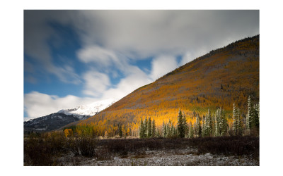 Fall Color