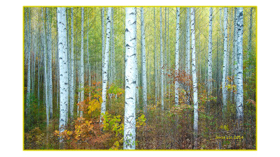 Autumn 5
