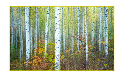Autumn 5