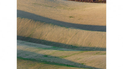 Toscana IV