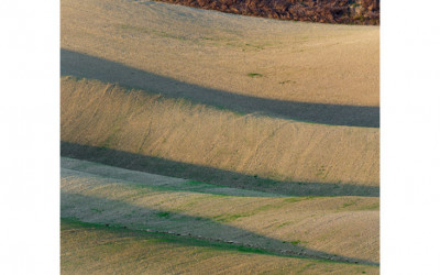 Toscana IV
