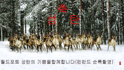 핀란드 사진출사..