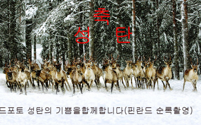 핀란드 사진출사..