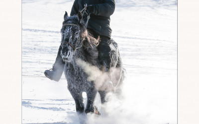 SIBERIAN  WINTER
