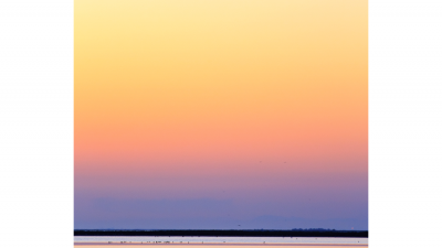 Camargue 여명