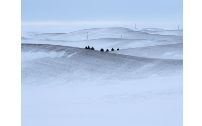 palouse7