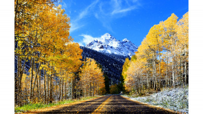 Aspen