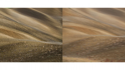 Color