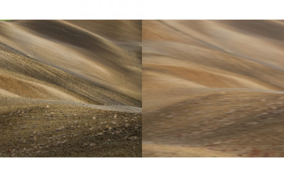 Color
