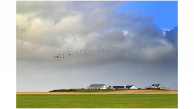 iceland #17