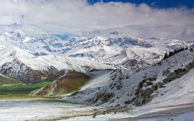 Landscape