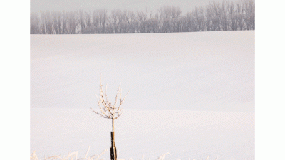 winter