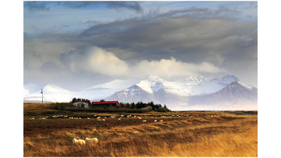 Iceland #24