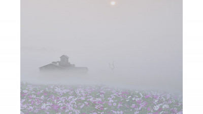 무죄