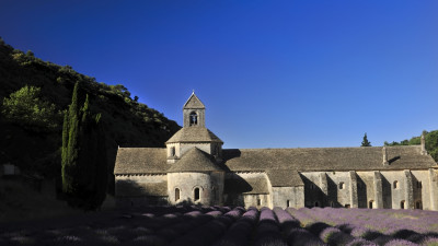 Senanque Abbey ( 세낭크 수도원 )