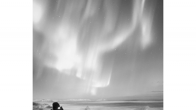 Wonderful night