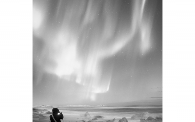 Wonderful night